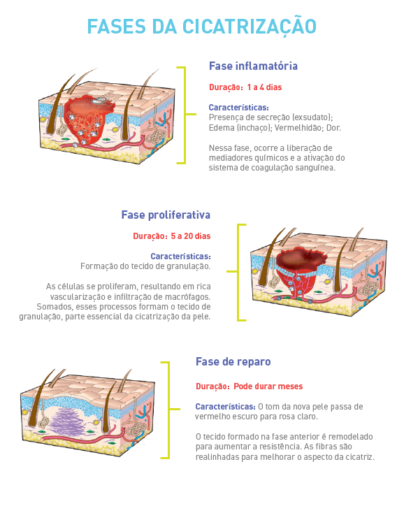 Epiderme: Funções e Importância da Camada Externa da Pele