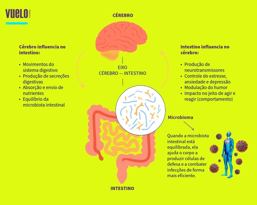 Intestino grosso: como ele cuida do seu corpo e bem‑estar